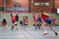 Volleyt020