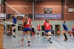 Volleyt021