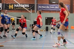 Volleyt022