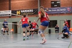 Volleyt023