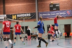 Volleyt024
