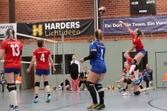 Volleyt025