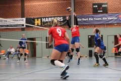 Volleyt028