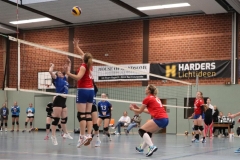 Volleyt029