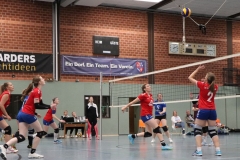 Volleyt031