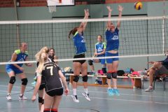 Volleyball-2019082501 Volleyball-2019082501