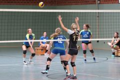 Volleyball-2019082513