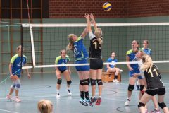 Volleyball-2019082515