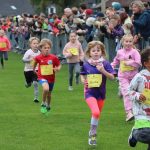 Herbstlauf in Bildern